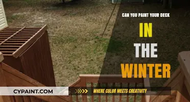 Winter Deck Painting: Tips and Tricks for a Successful Project