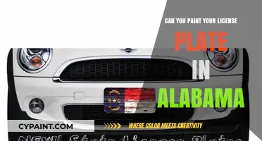 Alabama License Plate Customization: Legal Guidelines and Creative Tips