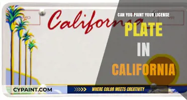 California Custom Plates: Artistic Freedom or Legal Faux Pas?