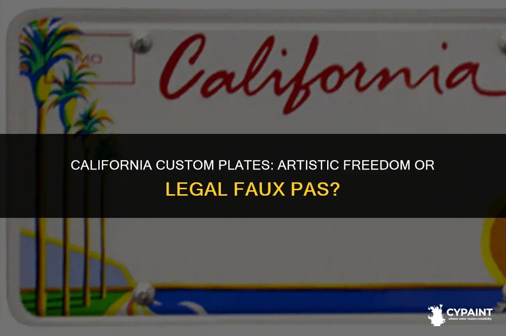 can you paint your license plate in california