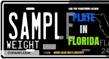 Florida License Plate Customization: Legal Guidelines and Creative Tips