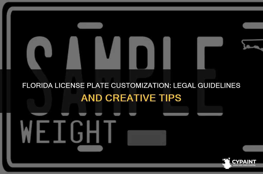 can you paint your license plate in florida