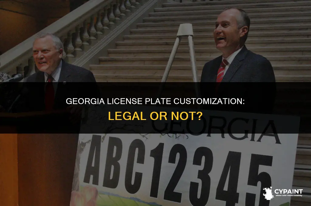 can you paint your license plate in georgia