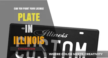Illinois License Plate Customization: Legal or Not?