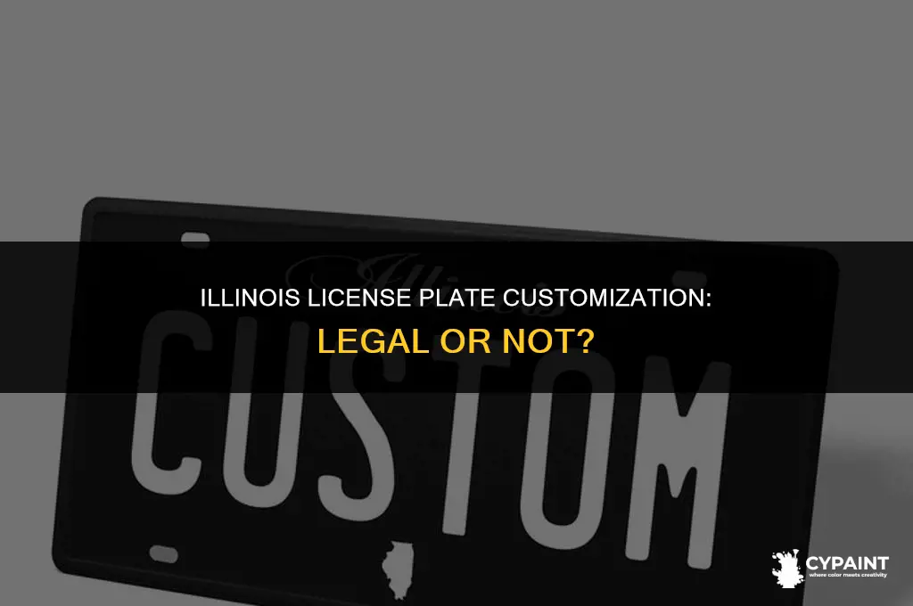 can you paint your license plate in illinois