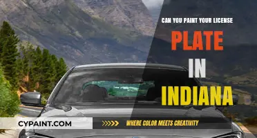 Indiana License Plate Customization: Legal Guidelines and Creative Tips