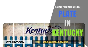 Kentucky License Plate Customization: Legal Guidelines and Creative Tips