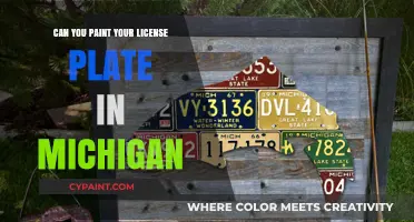 Revamping Your Ride: Michigan's License Plate Painting Laws Explained