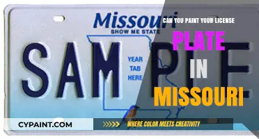 Missouri License Plate Customization: Legal Guidelines and Creative Tips