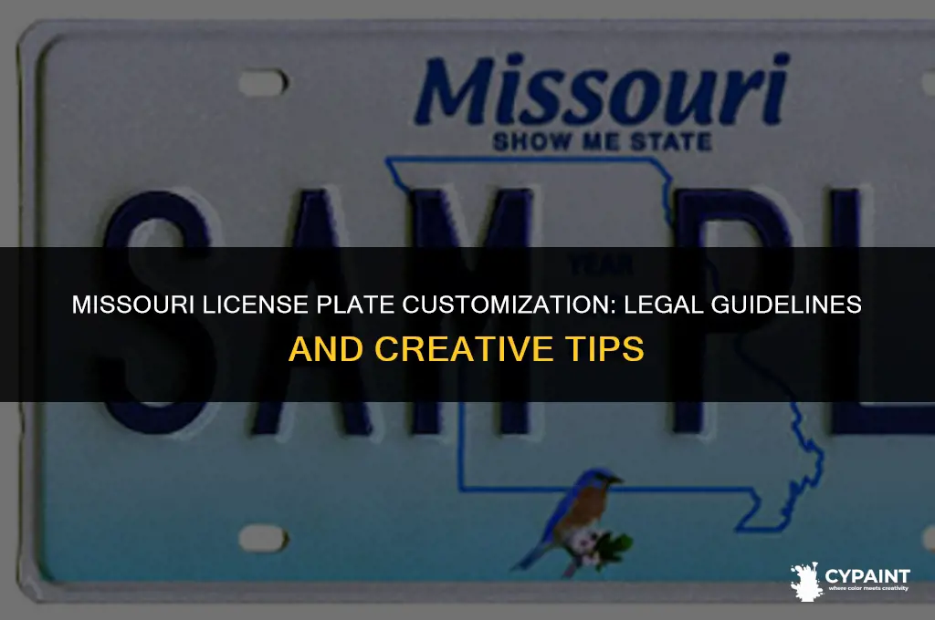 can you paint your license plate in missouri