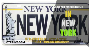 Customizing License Plates: New York's Stance on Painting
