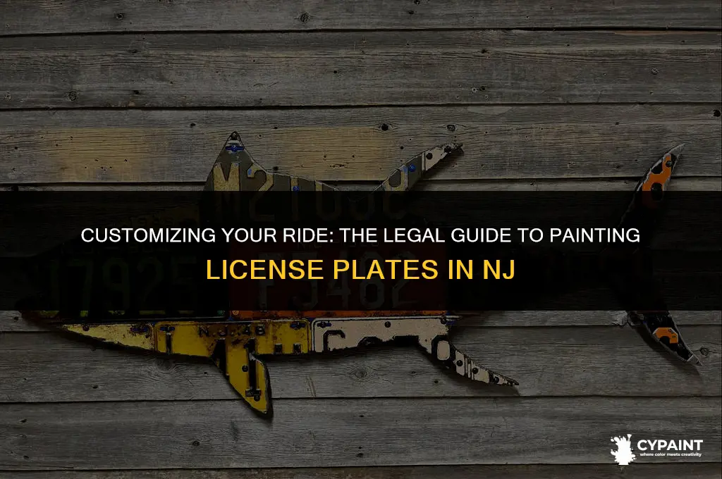 can you paint your license plate in nj