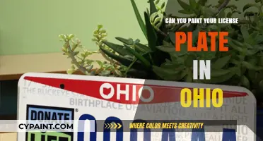 Ohio License Plate Customization: Legal Guidelines and Creative Tips