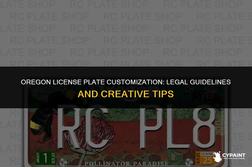can you paint your license plate in oregon