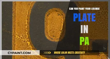 Pennsylvania License Plate Painting: Legal or Not?