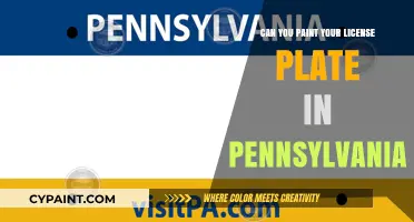 Pennsylvania License Plate Customization: Legal or Not?