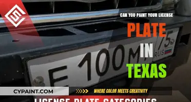 Texas License Plate Customization: Legal or Not?