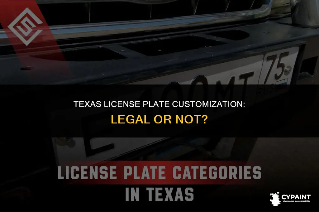 can you paint your license plate in texas