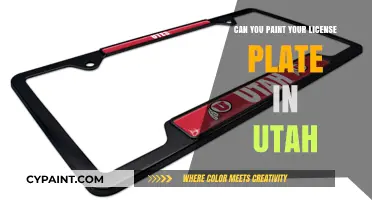 Utah License Plate Customization: Legal Guidelines and Creative Tips
