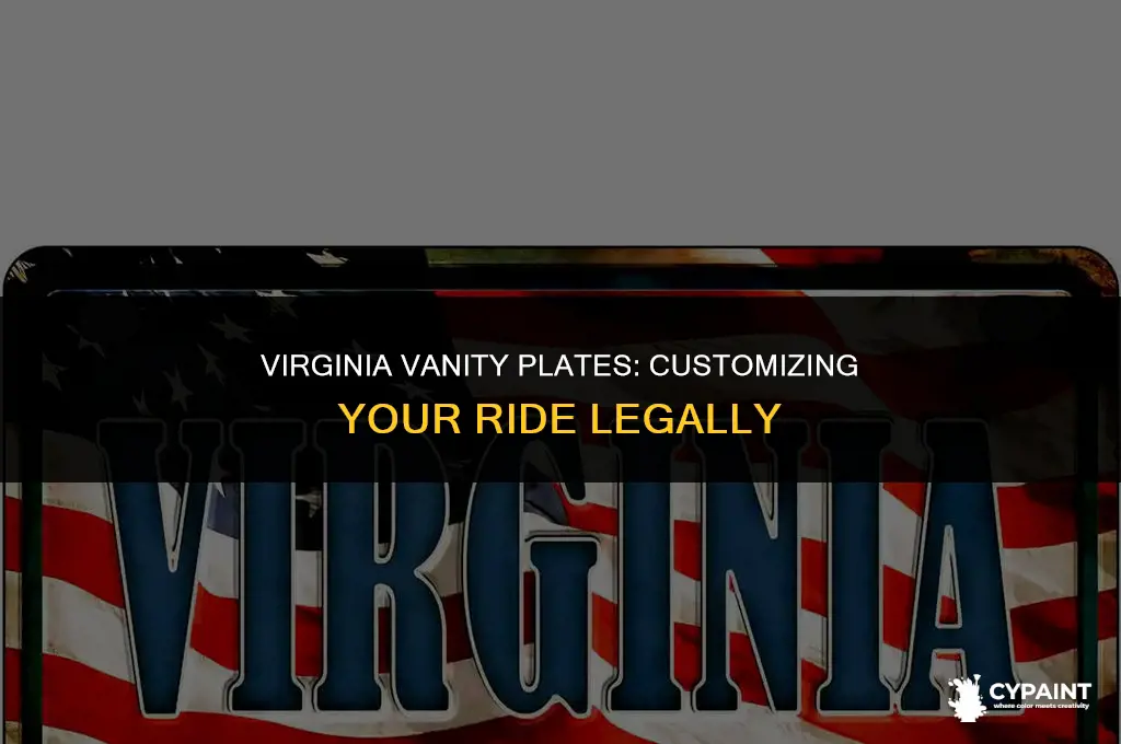 can you paint your license plate in virginia