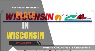 Wisconsin License Plate Customization: Legal or Not?