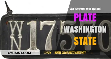 Revamping Your Ride: Washington State License Plate Painting Laws