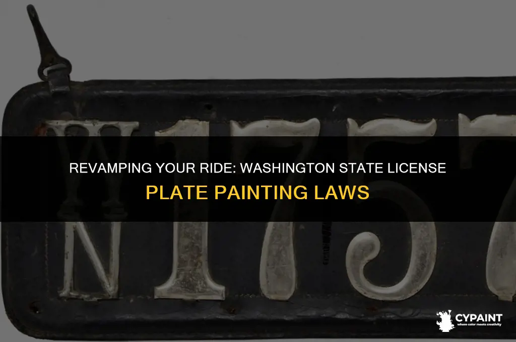 can you paint your license plate washington state