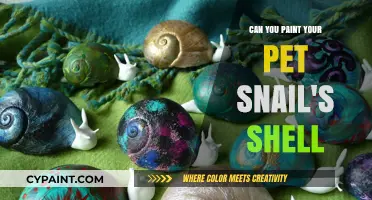 Creative Shell Art: Painting Your Pet Snail's Home