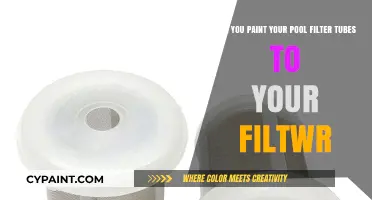 Painting Pool Filter Tubes: Creative Customization or Costly Mistake?