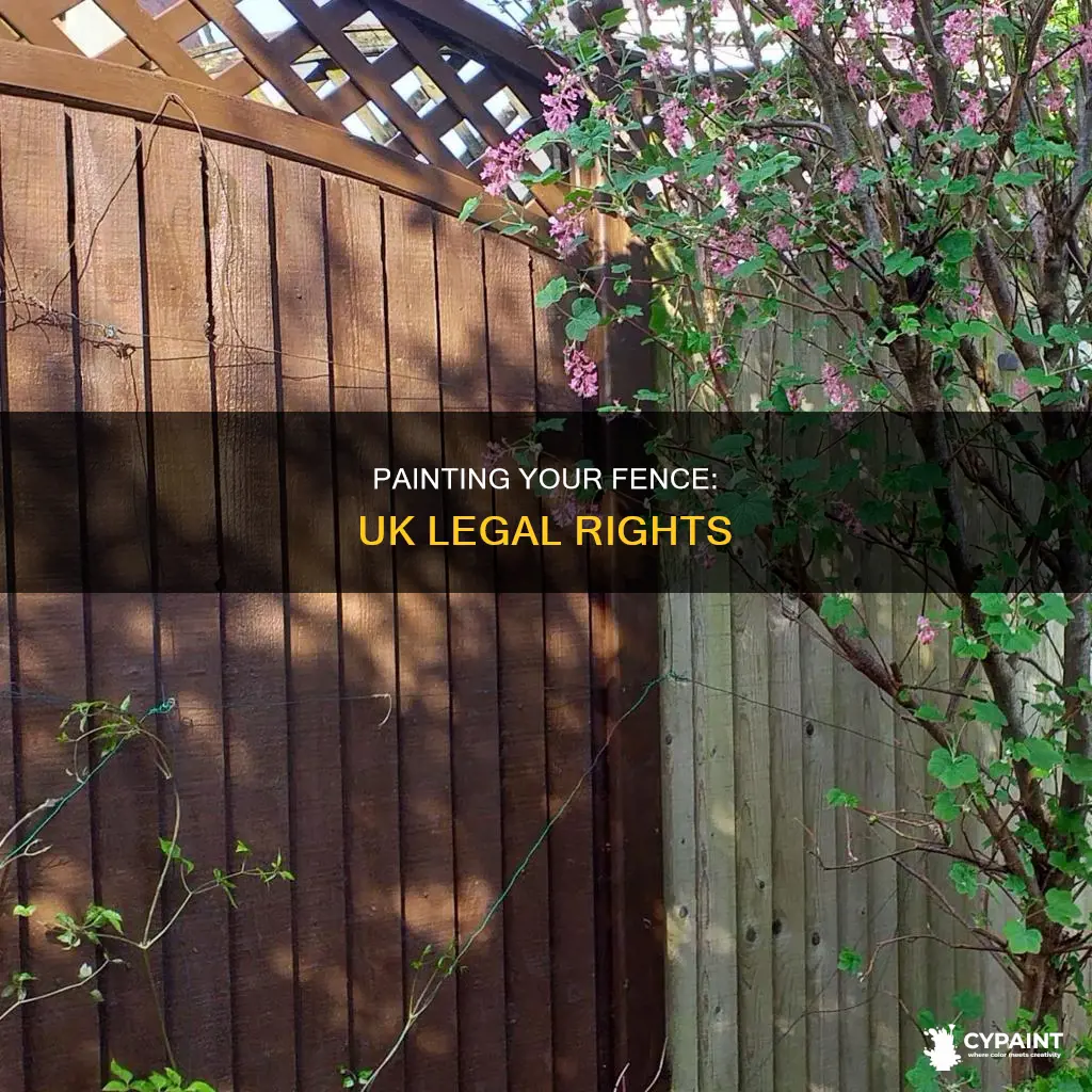 can you paint your side of the fence uk