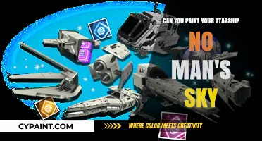 Customizing Your Starship: Painting Options in No Man's Sky