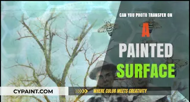 Exploring Photo Transfers on Painted Surfaces: A Creative Guide