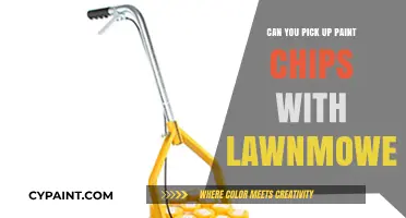 Lawnmower Hacks: Can You Really Pick Up Paint Chips?