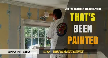 Should You Plaster Over Painted Wallpaper?