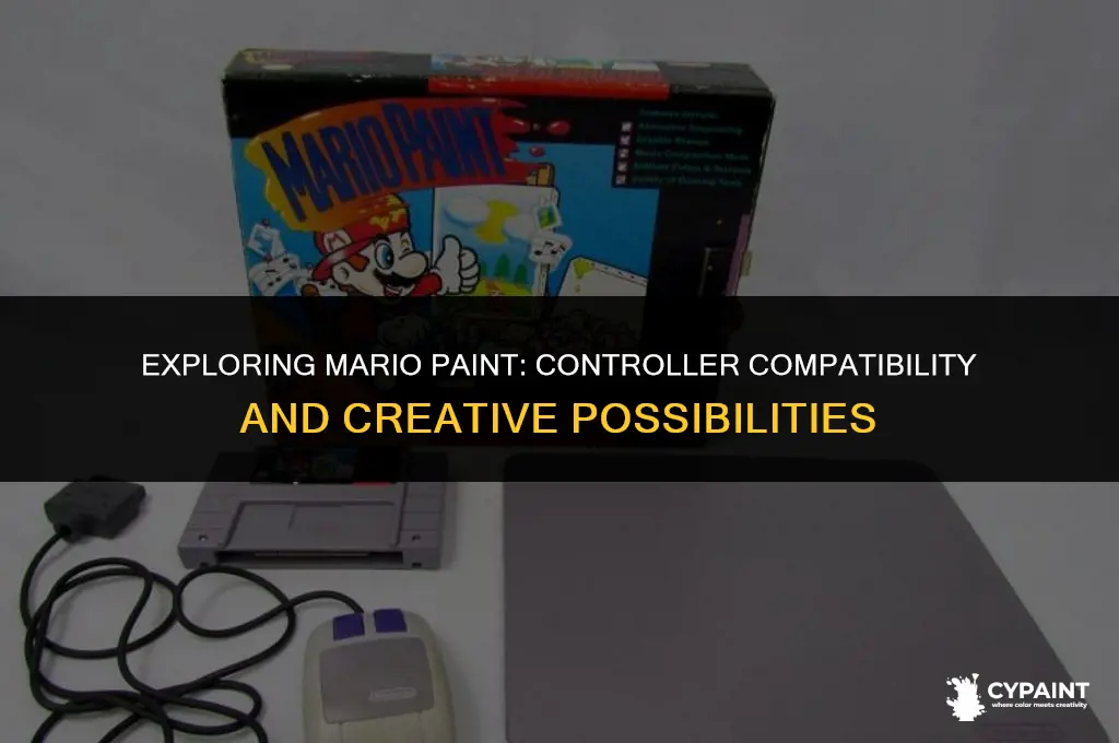 can you play mario paint with a controller