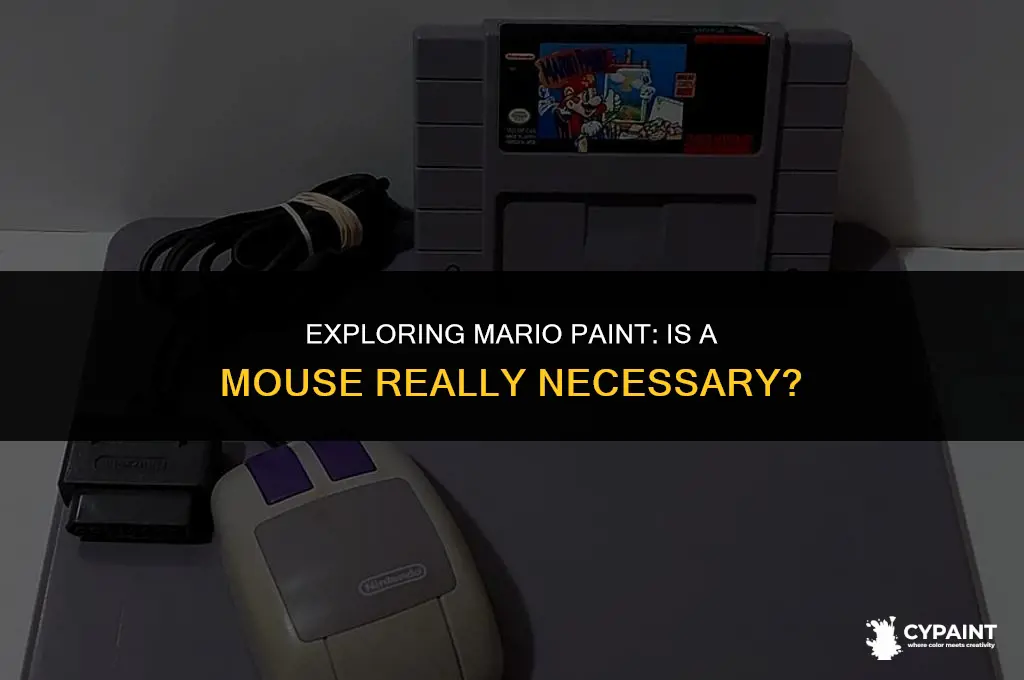can you play mario paint without the mouse