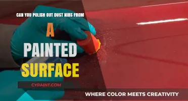 Polishing Out Dust Nibs: Can You Restore Your Painted Surface?