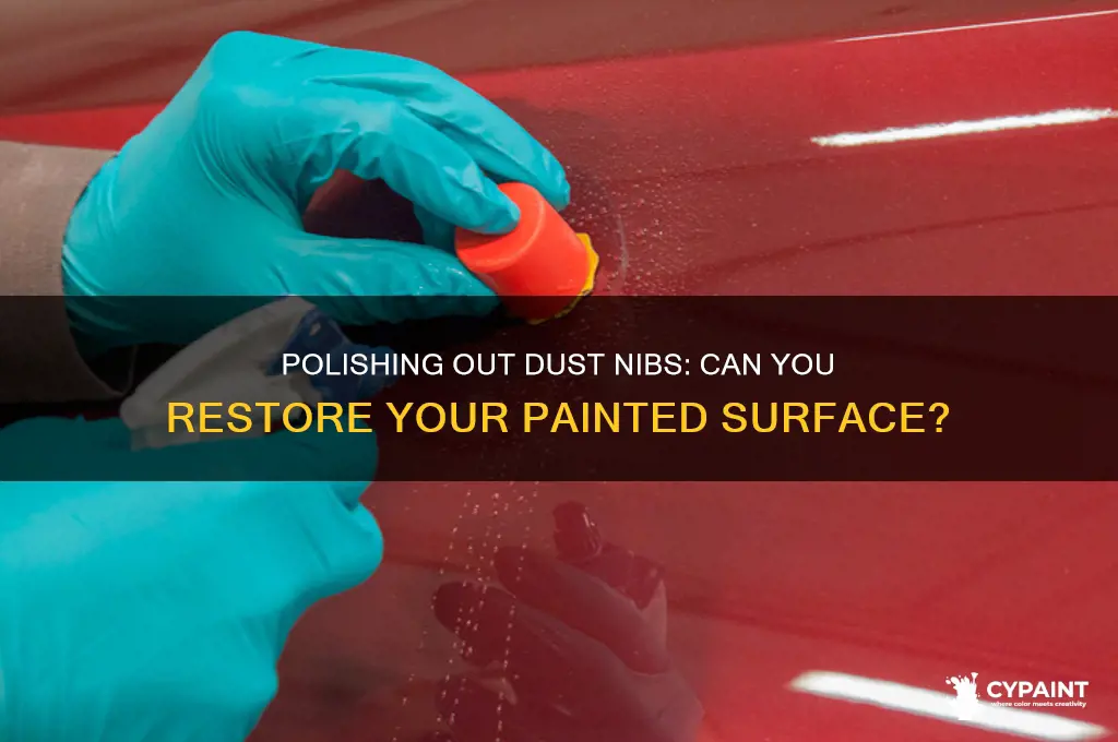 can you polish out dust nibs from a painted surface