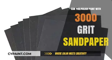 Sanding Down to Perfection: Can 3000 Grit Sandpaper Polish Paint?