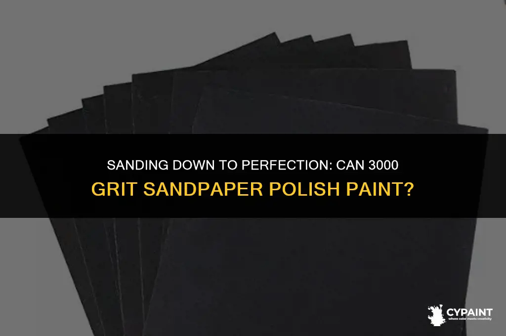 can you polish paint with 3000 grit sandpaper