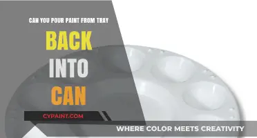 How to Properly Store Unused Paint and Tray Paint