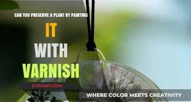Varnishing Plants: Effective Preservation Method or Harmful Myth?