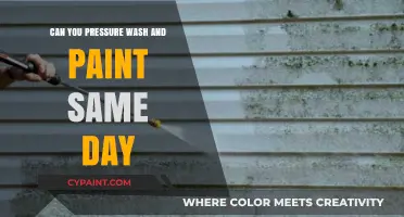 Same-Day Transformation: Pressure Washing and Painting Your Exterior