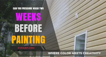 Prepping Your Home: Pressure Washing Before Painting