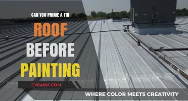 Prepping Your Tin Roof for a Fresh Coat: A Step-by-Step Guide