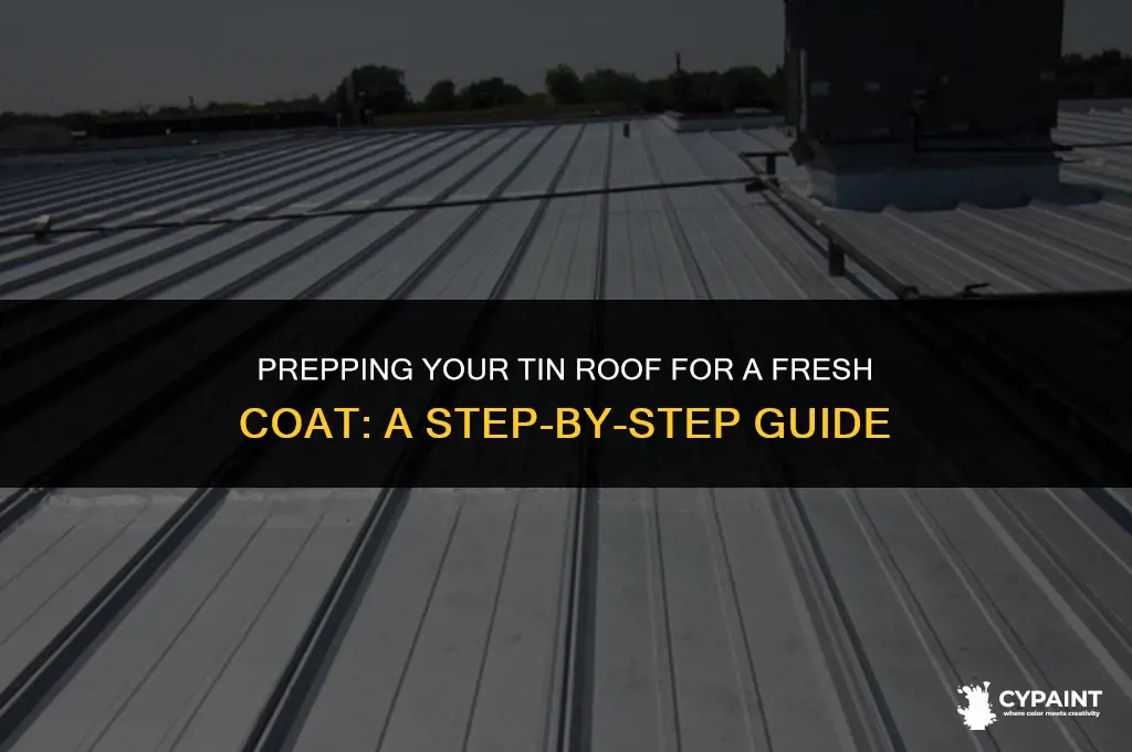 can you prime a tin roof before painting