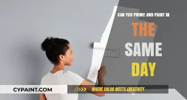 Primer and Paint: One Day, Two Coats
