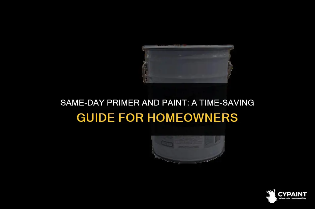 can you prime and paint the same day