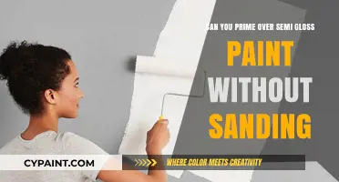 Primer Techniques: Gloss Paint and Sanding