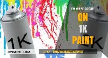Exploring the Possibilities: Can You Put 2K Cleat on 1K Paint?